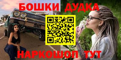 мдпв Будённовск