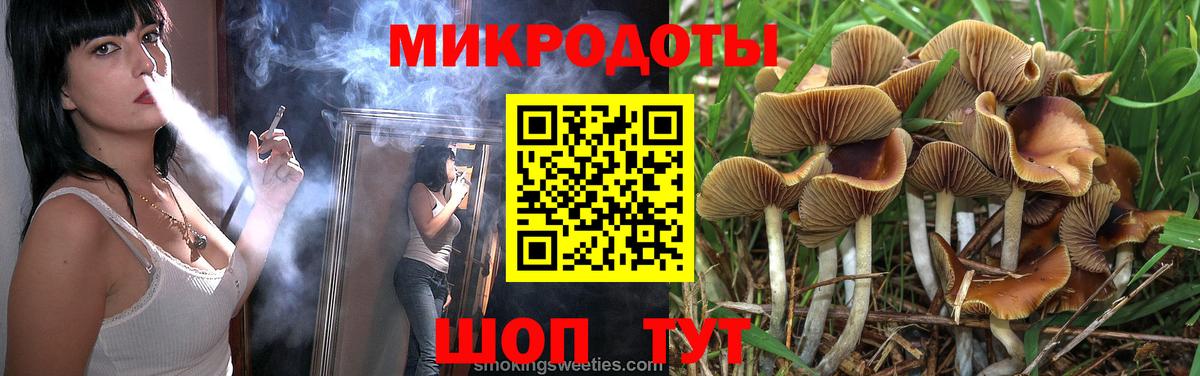 Псилоцибиновые грибы прущие грибы Нижнекамск