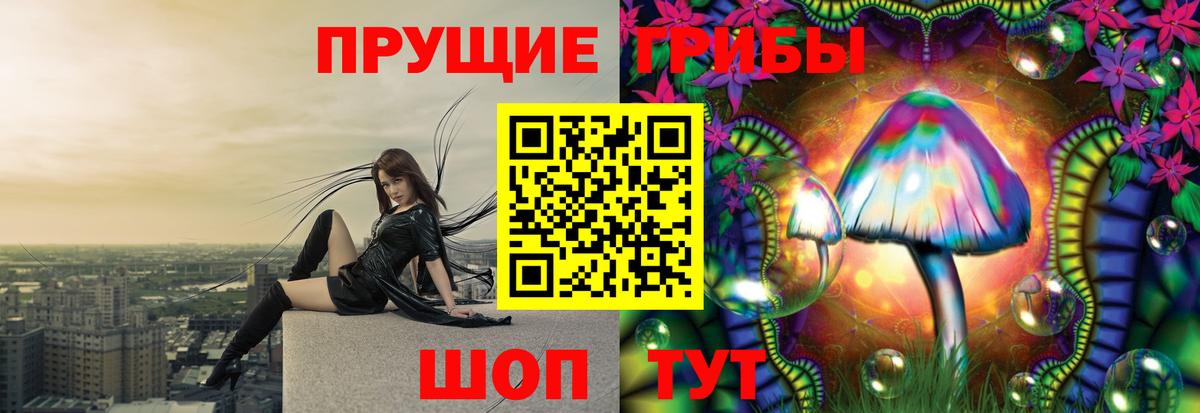 Псилоцибиновые грибы Psilocybe  Вход с VPN  Нижнекамск 